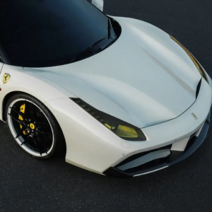 DYNOwhite