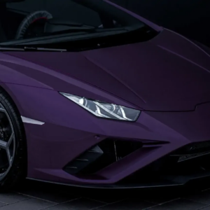 DYNOpurple
