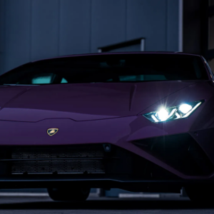 Alternative view of DYNOpurple